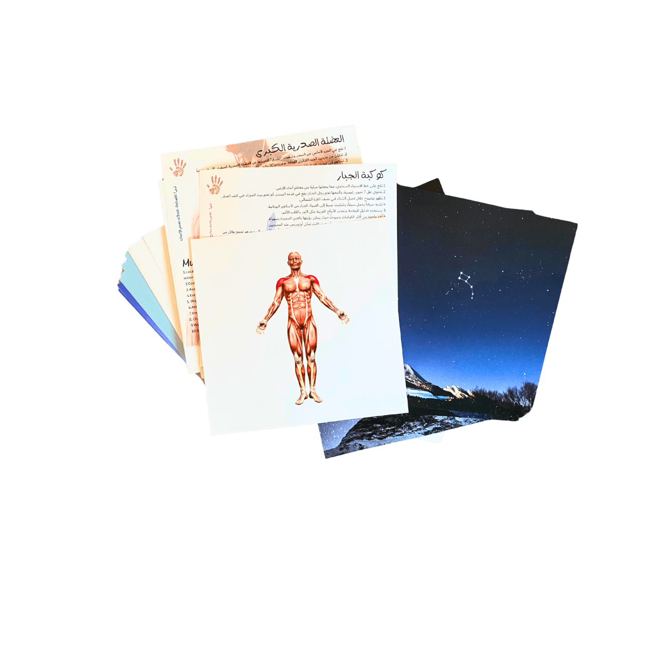 الموسوعة الجزء الثالث 2025919 (2)