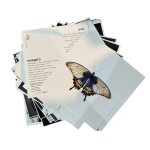 موسوعة المعرفية