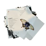 موسوعة المعرفية