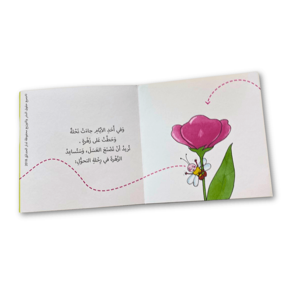 من زهرة الى بذرة (2) قصة تحول الزهرة الى بذرة